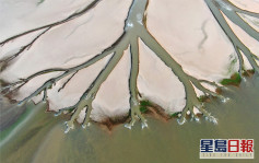 鄱陽湖水位跌破8米 創有紀錄以來同期最低