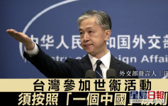 汪文斌：民進黨導致台灣參加WHA基礎不復存在