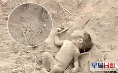 地上现「小短腿」 印度村民挖出一名被活埋男婴