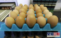 民众居家避疫抢购粮食 美国鸡蛋价格飙升四成