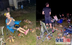 燒烤香味引「強盜」搶食 澳洲一家庭被52隻椰子蟹包圍