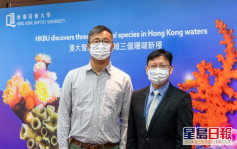 浸大团队香港水域发现3石珊瑚新物种 绿壁筒星珊瑚料港独有