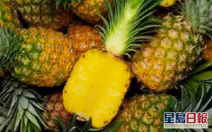 大陆下月起暂停进口台湾菠萝 国台办：正常生物安全防范举措