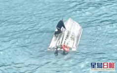紐西蘭觀光船疑遭鯨魚撞翻 11遊客墮海5人死 
