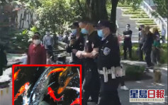 重慶網紅鯉魚遭偷走食用 4人被行拘