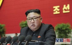 金正恩被推举为劳动党总书记 北韩罕见深夜大阅兵