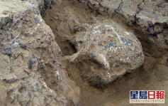湖北發現古人類頭骨化石 證中國百萬年人類史 