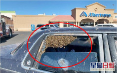 美男購物忘關車窗 逾萬隻蜜蜂佔據後座