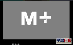西九文化區M+網站收起具爭議館藏圖像 稱正參考當局意見 