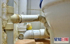 測量師指改動排氣管存衛生風險 建築師：排污系統若滲漏會有異味