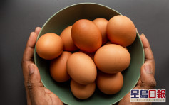 【健康talk】啡蛋定白蛋好？食安中心拆解蛋殼顏色與營養價值之謎
