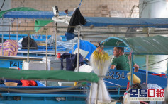 渔护署更改渔民免费病毒检测服务时间