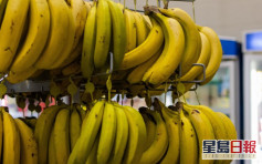 台灣香蕉驗出農藥超標 遭日本下架銷毀