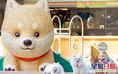 沙田新城市广场全新户外宠物乐园 3米高巨型柴犬活力登场