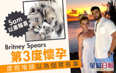 Britney報喜第3度懷孕  未婚夫期待做父親承諾不會掉以輕心