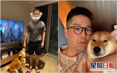 設身處地待奉「皇上」　林曉峰為愛犬試戴寵物用頭罩