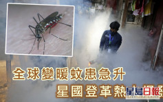 全球變暖蚊患急升 新加坡登革熱大爆發