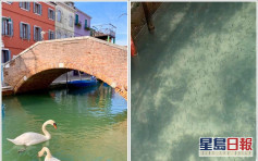 意大利「封城」遊客銳減 威尼斯運河重拾美景清澈見底