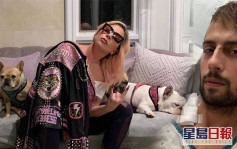 Lady Gaga兩犬被盜放狗人險死有創傷    失蹤疑犯再被捕控企圖謀殺罪