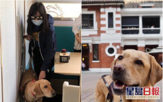 导盲犬被拒待顾客接受道歉 团体婉拒餐厅捐款吁做义工认识失明人