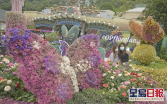 【維港會】海洋公園「蝶舞花旅」周六盛放 50品種近八百盆鮮花