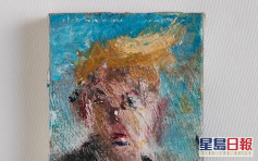 以国艺术家画120幅特朗普肖像 命名《飞黄腾达》