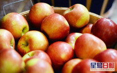 【健康Talk】腐烂苹果恐有「棒曲霉素」食安中心提醒勿进食