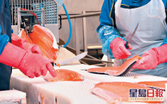 京砧板驗出新冠病毒 港食安中心即時檢測進口三文魚樣本