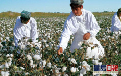 報道指美國或禁新疆棉製品入口 將使全球服裝業帶來巨變