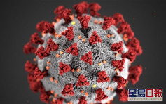 美研究指新冠病毒2月已發生變異 新毒株傳染力更強