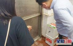 九龍城區議會引入新型捕鼠器 一周內成功捉7老鼠