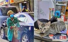 深水埗汝州街發生偷貓案 一名女子疑盜去店舖貓