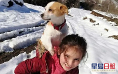 土耳其10岁女孩为救生病狗狗 背它冒雪徒步3公里找兽医