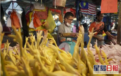 新加坡批准進口印尼雞肉 推動食物來源多元化 