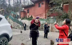 湖南大叔背81岁瘫痪母亲贵州旅游 感动无数网民