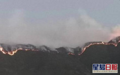 四川木里森林发生火灾 火线长约20公里