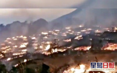 「中国最后原始部落」云南翁丁村发生火灾