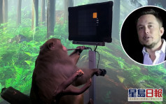 晶片植入猴子大腦實驗致15猴子死亡 馬斯克大腦晶片公司捱轟