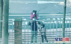 台灣護士媽媽突被通知需隔離 與家人隔窗對望：世界上最遙遠的距離