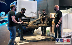 回歸25載｜科學館下月舉行大型恐龍展覽 8組恐龍盛世化石標本免費觀看