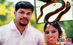 印度狠夫放眼鏡蛇上床殺妻 被判2次無期徒刑