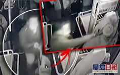 黑龍江老翁嫌巴士開得慢 買餸車擊暈司機