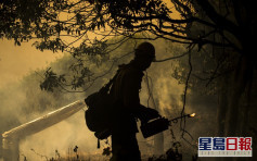 美西山火增至35死 燒毀近200萬公頃面積林木