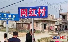 广西「网红村」引关注  当地政府：已摘掉招牌