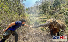 認得12年前救牠一命 泰國大象主動向獸醫伸鼻