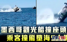 墨西哥觀光船撞座頭鯨 乘客撞飛墮海5人傷