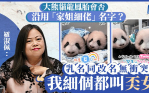 港产大熊猫︱龙凤胎乳名「家姐细佬」与改名无冲突 罗淑佩：我细个都叫奀女