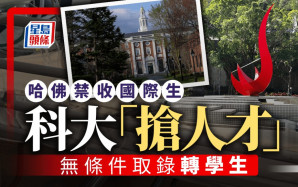 哈佛被禁收國際生│科大發公開邀請「搶人才」 願無條件取錄轉學學生、優先處理申請