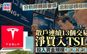 Tesla散戶撈貨力度十年來最高 連續13個交易日凈買入