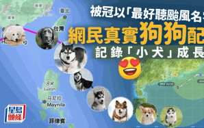 颱風小犬｜最好聽風暴名字 網民配狗狗圖片記錄「小犬」成長路｜Juicy叮